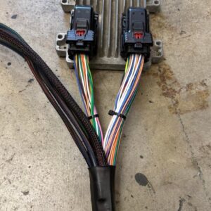 Brand New LS3 6L80E wiring Harness